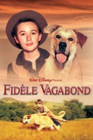 Fidèle vagabond