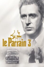 Le parrain, 3ème partie