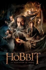 Le Hobbit : La Désolation de Smaug